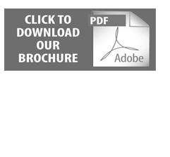 catalogue